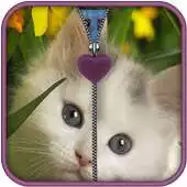 Free play online Kitten Zipper Screen Lock APK
