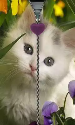 Play Kitten Zipper Screen Lock