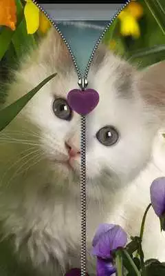 Play Kitten Zipper Screen Lock
