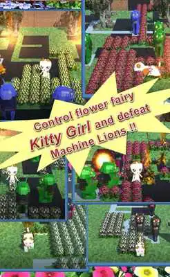 Play Kitty Adventure