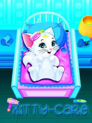 Play Kitty Care Pet Salon - Cat Love Furry Grooming