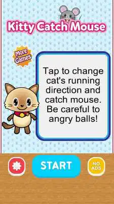 Play Kitty Catch Mouse