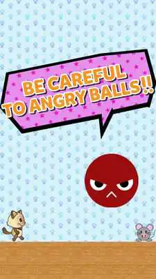 Play Kitty Catch Mouse