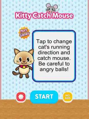 Play Kitty Catch Mouse