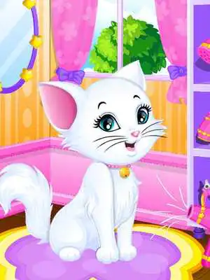 Play Kitty Cat Furry Makeover - Kitty Pet Love Care Play Kitty Cat Furry Makeover - Kitty Pet Love Care