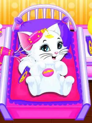 Play Kitty Cat Furry Makeover - Kitty Pet Love Care Play Kitty Cat Furry Makeover - Kitty Pet Love Care