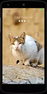 Play Kitty Cat Keypad Lock Screen Play Kitty Cat Keypad Lock Screen