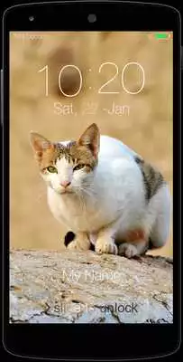 Play Kitty Cat Keypad Lock Screen Play Kitty Cat Keypad Lock Screen