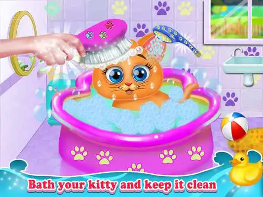 Play kitty daycare  grooming salon - cat meow meow