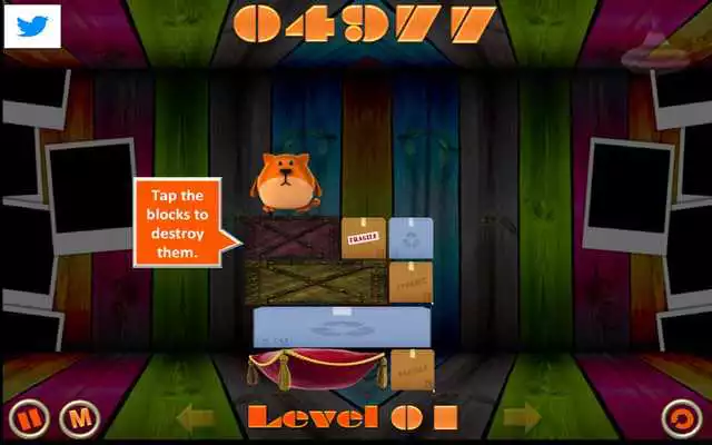 Play Kitty Drop v1.2