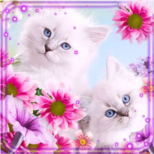Play Kitty Fluffy Glamour APK