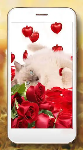 Play Kitty Fluffy Glamour as an online game Kitty Fluffy Glamour with UptoPlay
