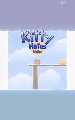 Play Kitty Hates Water