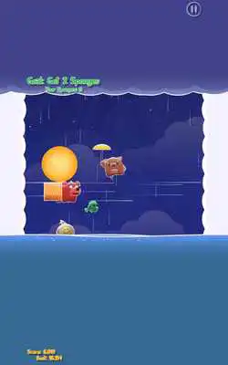 Play Kitty Hates Water