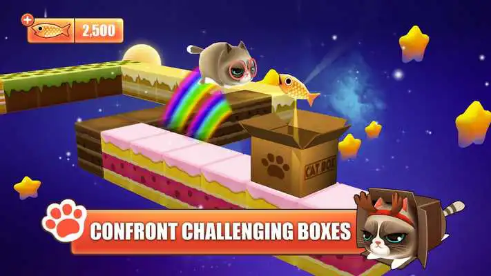 Play Kitty in the Box Play Kitty in the Box