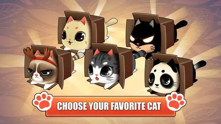 Play Kitty in the Box Play Kitty in the Box