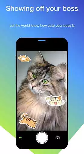 Play KittyKrush - Cat photos and videos as an online game KittyKrush - Cat photos and videos with UptoPlay