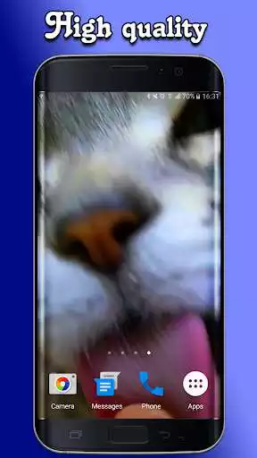 Play Kitty Licks Screen as an online game Kitty Licks Screen with UptoPlay