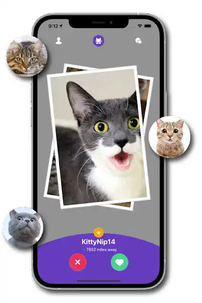 Play Kitty Nip - Cat Dating App  and enjoy Kitty Nip - Cat Dating App with UptoPlay