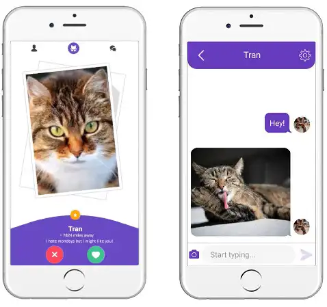 Play Kitty Nip - Cat Dating App as an online game Kitty Nip - Cat Dating App with UptoPlay