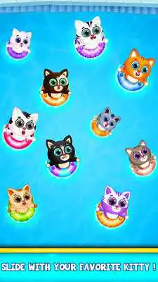 Play Kitty Pool Slide Fun