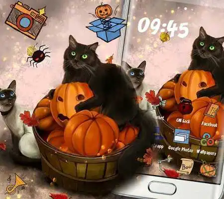 Play Kitty Pumpkin Theme