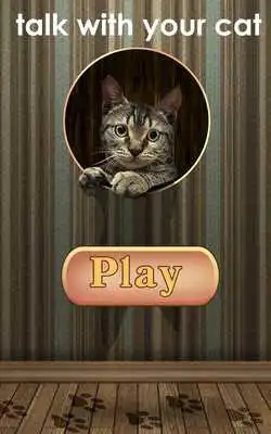 Play Kitty Translator