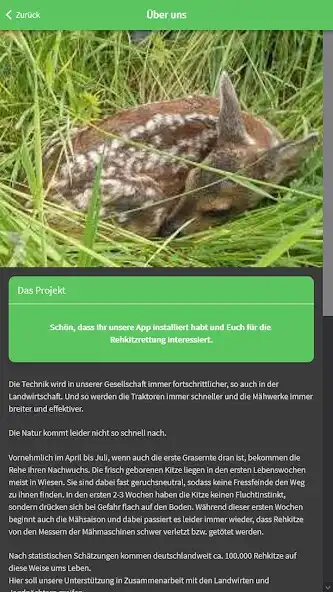 Play Kitzrettung as an online game Kitzrettung with UptoPlay
