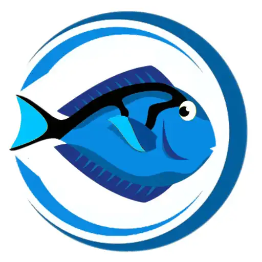 Play KivuChat APK