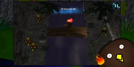 Play Kiwi BridgeCrossing