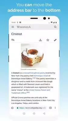 Play Kiwi Browser