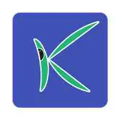 Free play online Kiwi Dials APK