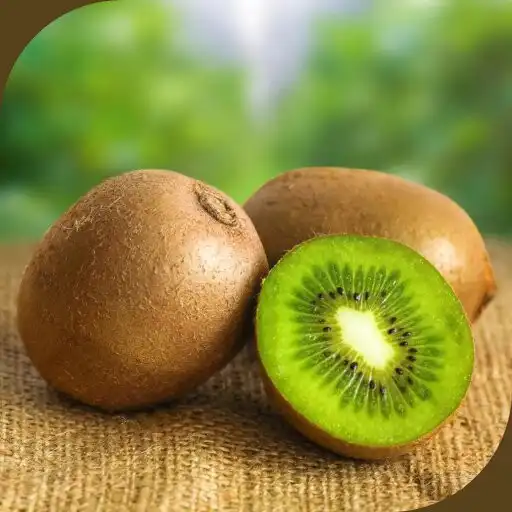Play Kiwifruit Planting Guide APK