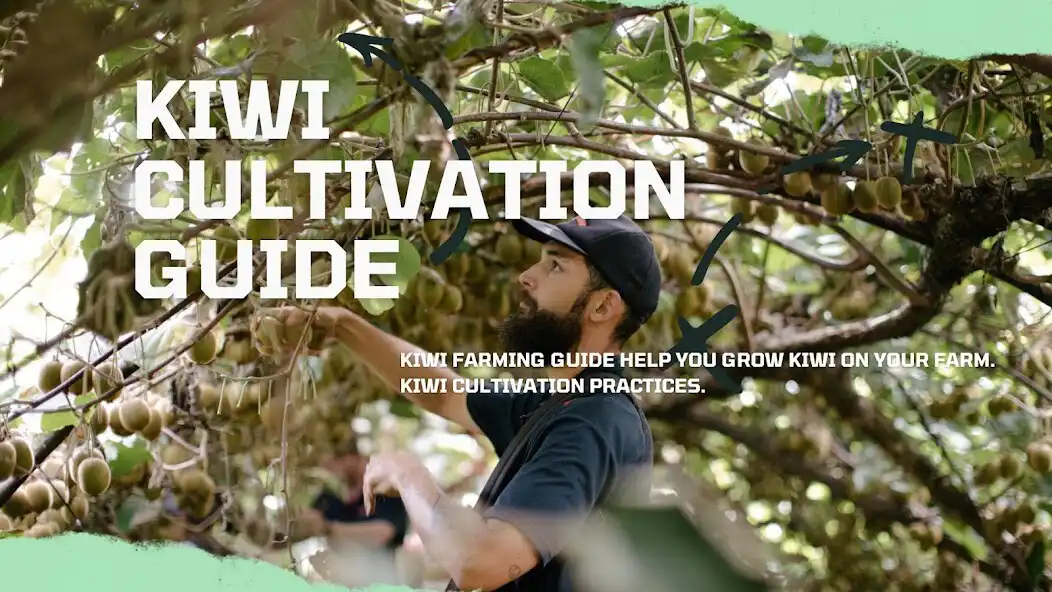 Play Kiwifruit Planting Guide  and enjoy Kiwifruit Planting Guide with UptoPlay