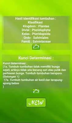 Play Klasifikasi Tumbuhan