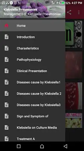 Play Klebsiella Pneumoniae  and enjoy Klebsiella Pneumoniae with UptoPlay