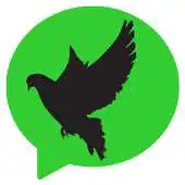 Free play online Knama APK