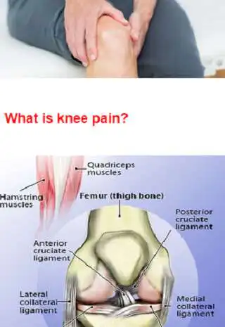 Play APK Knee Pain Protocols  and enjoy Knee Pain Protocols with UptoPlay co.protocol.kneepain