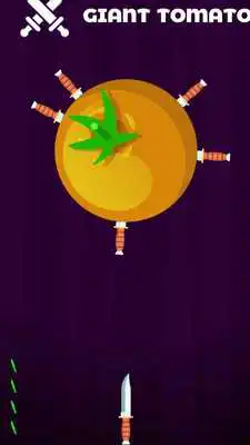 Play Knife Hit 2 - Very Addictive Game Free to play