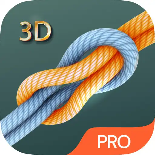 Play Knots 3D - Pro Version APK