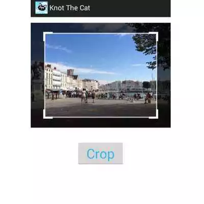 Play Knot the Cat