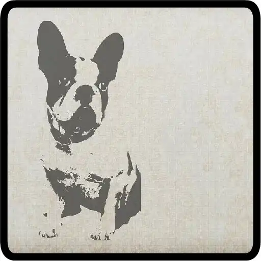 Play Know and choose dog breed APK Play Know and choose dog breed APK