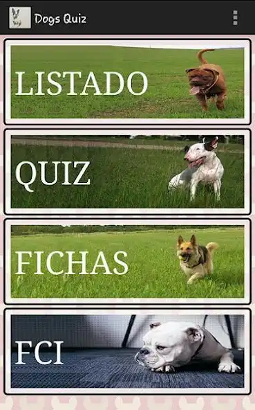 Play Know and choose dog breed  and enjoy Know and choose dog breed with UptoPlay