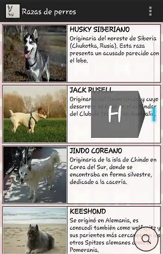 Play Know and choose dog breed as an online game Know and choose dog breed with UptoPlay