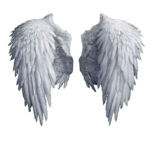 Run free android online KNOW YOUR ANGELS - Know About Your Guardian Angel APK