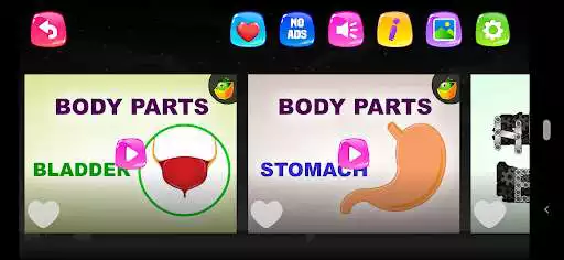 Play Know Your Body as an online game Know Your Body with UptoPlay