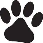 Free play online Know Your Dogs APK