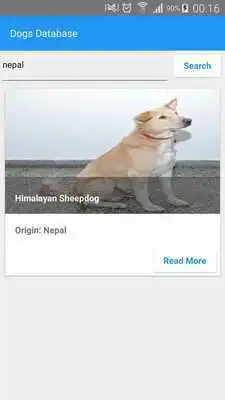 Play Know Your Dogs