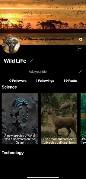 Play Knowy as an online game Knowy with UptoPlay