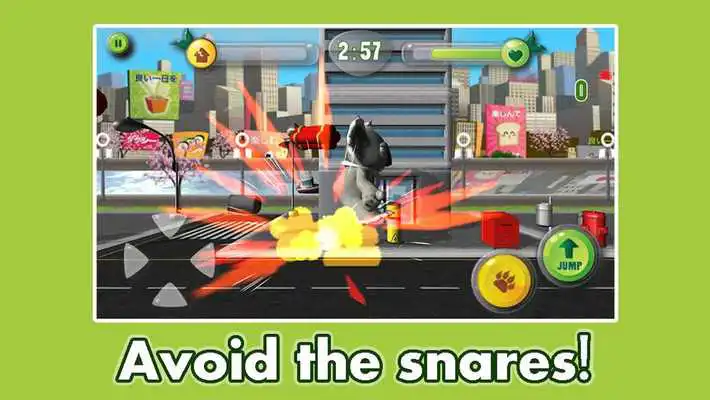 Play Koala Crush